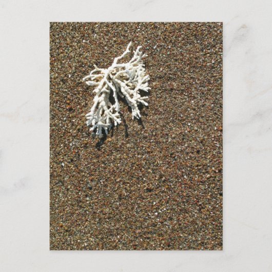 Carte Postale Corail (Devant)