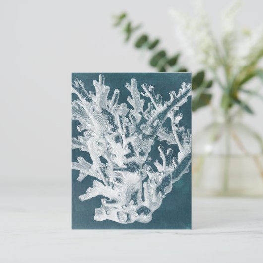 Carte Postale Corail azur I (Debout devant)