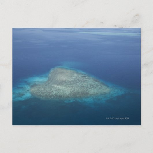 Carte Postale Corail en forme de coeur (Devant)