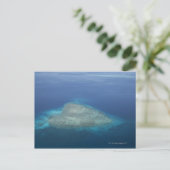 Carte Postale Corail en forme de coeur (Debout devant)
