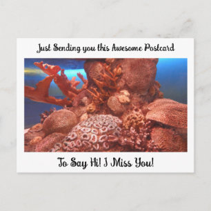 Carte Postale Corail et raie pastenague "Tu me manques" Dire bon