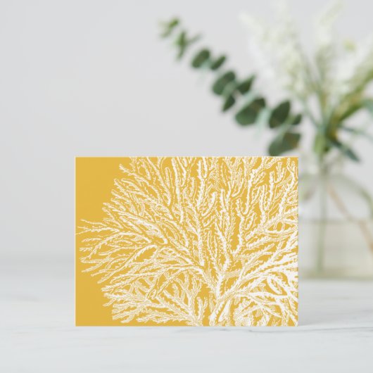 Carte Postale Corail jaune et blanc (Debout devant)