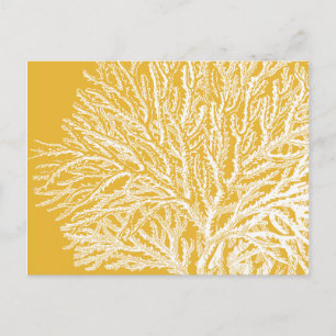 Carte Postale Corail jaune et blanc