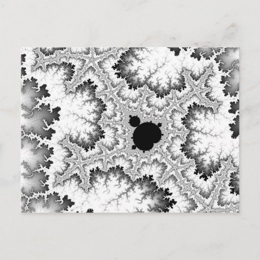 Carte postale Corail Noir (Devant)