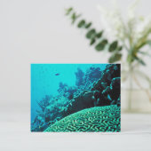 Carte Postale Corail Reef (Debout devant)