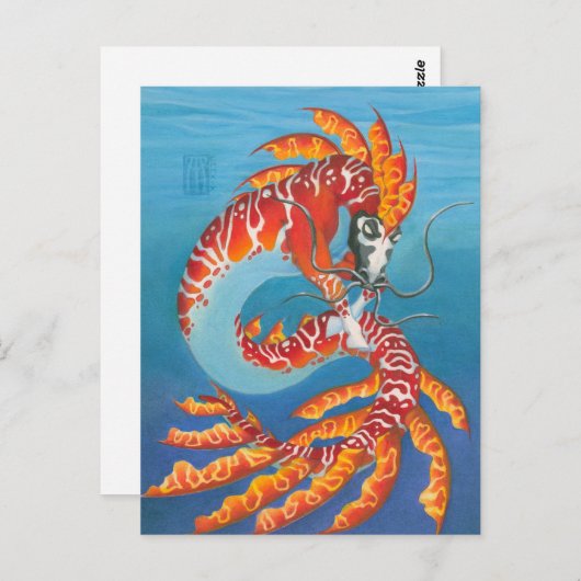 Carte Postale Corail Reef Kelpi (Devant / Derrière)