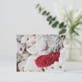 Carte Postale Corail rose (Debout devant)