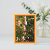 Carte Postale corail rose Escalade (Debout devant)