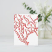 Carte Postale Corail rouge (Debout devant)