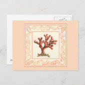 Carte Postale Corail rouge avec bordure conique (Devant / Derrière)
