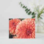 Carte Postale Coral Orange Dahlia (Debout devant)