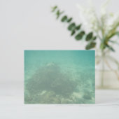 Carte postale Coral Reef (Debout devant)