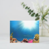 Carte Postale Coral Reef & Requin (Debout devant)
