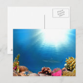 Carte Postale Coral Reef & Requin (Devant / Derrière)