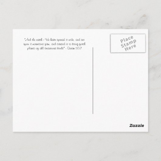 Carte Postale Coran arabe écriture Sura verse tree plante (Dos)