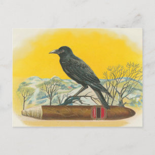 Carte Postale Corbeau