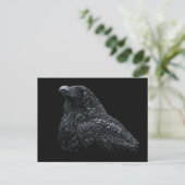 Carte Postale Corbeau (Debout devant)