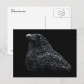 Carte Postale Corbeau (Devant / Derrière)