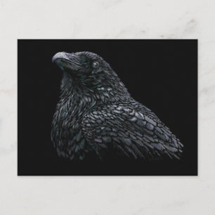 Carte Postale Corbeau