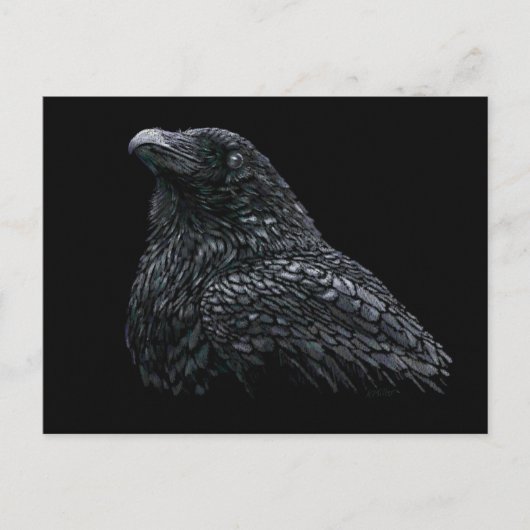 Carte Postale Corbeau (Devant)