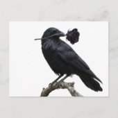 Carte Postale Corbeau (Devant)