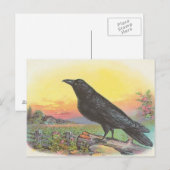 Carte Postale Corbeau (Devant / Derrière)