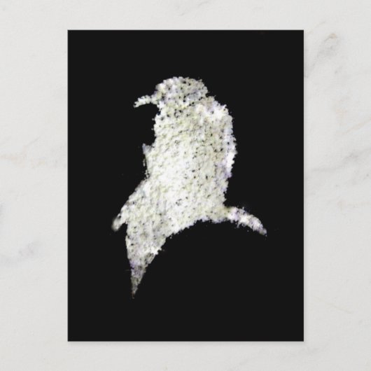 Carte Postale Corbeau (Devant)