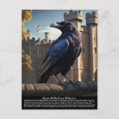 Carte Postale Corbeau (Devant)
