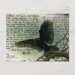Carte Postale Corbeau 3