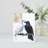 Carte Postale Corbeau blanc et noir (Debout devant)