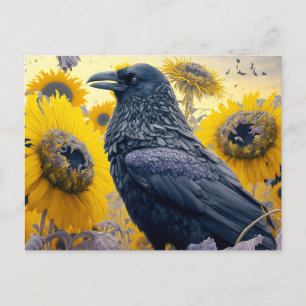 Carte Postale Corbeau dans le champ de tournesol
