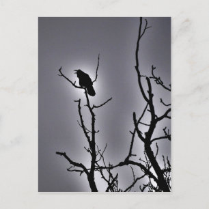 Carte Postale Corbeau dans une nuit éclairée par la lune