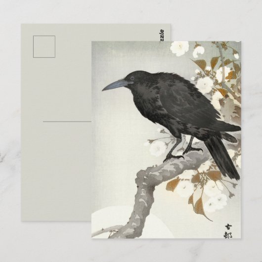Carte Postale Corbeau Raven Koson Oiseau japonais (Devant / Derrière)