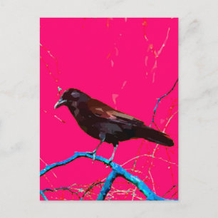 Carte Postale Corbeau rose chaud