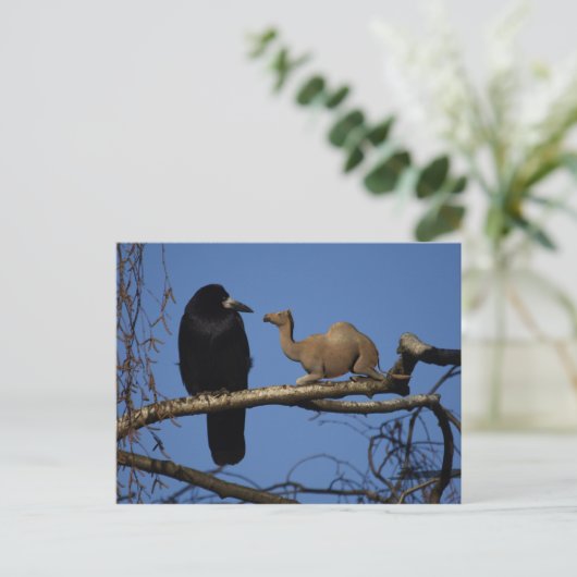 Carte Postale Corbeau surpris (Debout devant)