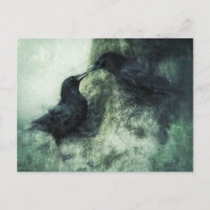 Carte Postale Corbeaux amants