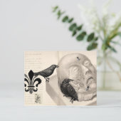 Carte Postale Corbeaux et cadavres (Debout devant)