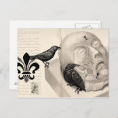 Carte Postale Corbeaux et cadavres (Devant / Derrière)