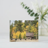Carte Postale corbeille de minerai (Debout devant)