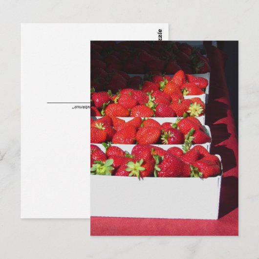 Carte postale - Corbeilles de fraises (vrt) (Devant / Derrière)