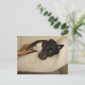 Carte Postale Corby (Debout devant)