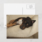 Carte Postale Corby (Devant / Derrière)