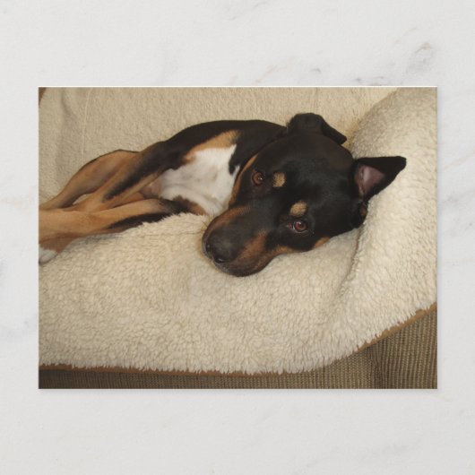 Carte Postale Corby (Devant)