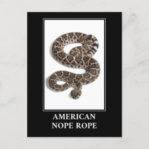 Carte Postale Corde à corde américaine - Serpent à sonnette à so
