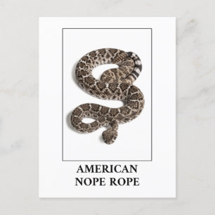 Carte Postale Corde à corde américaine - Serpent à sonnette à so