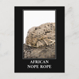 Carte Postale Corde africaine à corde - Puff adder Snake Danger