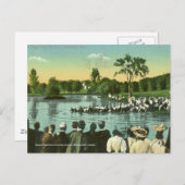 Carte Postale Corde, Campus (Devant / Derrière)