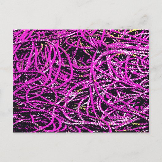 CARTE POSTALE CORDE DE PÊCHE PORTUAIRE (Devant)