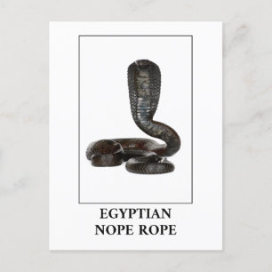 Carte Postale Corde égyptienne - Cobra Snake Danger