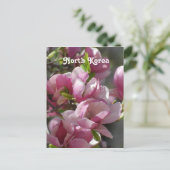 Carte Postale Corée du Nord Magnolia (Debout devant)